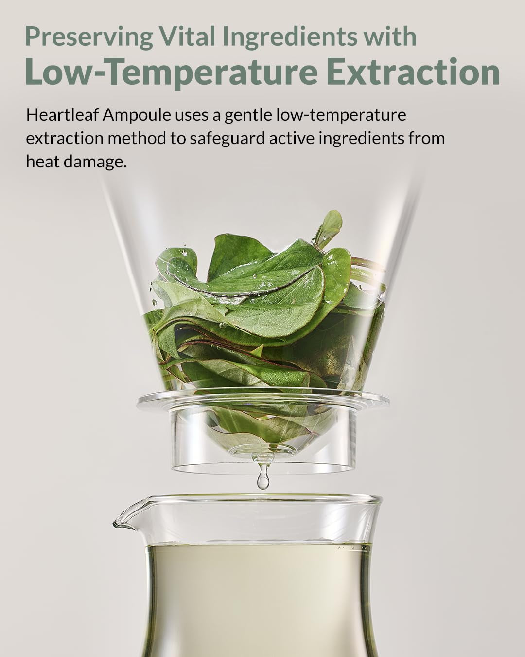 Heartleaf Soothing Moisture Pad - Enriched with 80% Low-Temperature Extracted Heartleaf & Niacinamide for Acne Control - Zinc PCA, Quercitrin for Sensitivity Relief, 70 Pads
